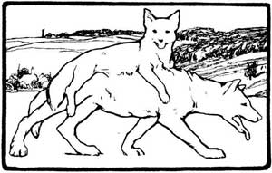 Волк и лиса - Гримм, картинка