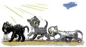 Три котёнка (Сказка Сутеева В.Г.), рис.14