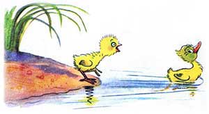 Цыплёнок и утёнок (Сказка Сутеева В.Г.), рис.9