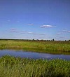 Лето - Ушинский К.Д.