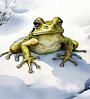 Лягушонок - Пришвин