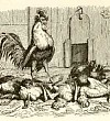 Истинная правда (Сказка Андерсена), картинка