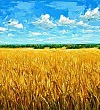Летом - Греков