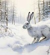 Зайцы-профессора - Пришвин