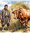 От Сагынньах (Травяная Доха) От Сагынньах (Травяная Доха) - Якутские сказки