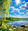 Собрание чудес - Паустовский, картинка