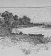Отпрыск райского растения (Сказка Андерсена), картинка