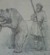 Ученый медведь - Ушинский К.Д.