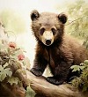 Медвежонок - Чарушин