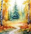 Полянка в лесу - Пришвин