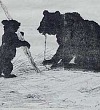 Медведи - Гаршин
