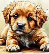 Купите собаку - Токмакова