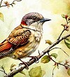 Птенцы - Сеф
