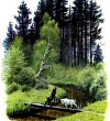 Два козлика - Ушинский К.Д.