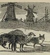 Овца, лиса и волк - Толстой А.Н., картинка