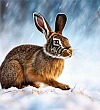 Ваня-охотник - Чарушин