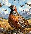 Куропатка - Якутские сказки
