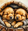 Малька провинилась - Белов