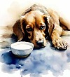 Глоток молока - Пришвин