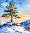 На севере диком стоит одиноко - Лермонтов, картинка