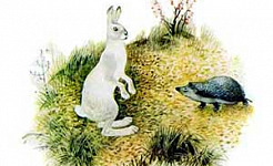 Заяц и еж - Ушинский К.Д.