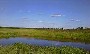 Лето - Ушинский К.Д.