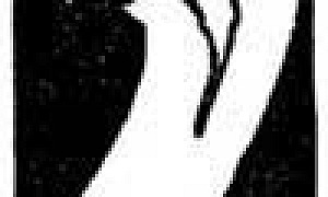 Как леопард стал пятнистым (Сказка Киплинга Р.Д.), картинка