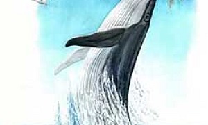 Люля (Сказка Бианки В.В.), картинка