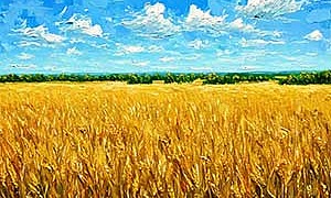 Летом - Греков
