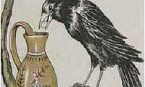 Галка и кувшин (Сказка Толстого Л.Н.), картинка