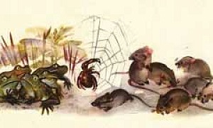 Аришка-Трусишка (Сказка Бианки В.В.), картинка