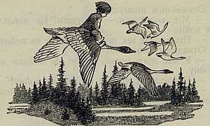 Гуси - лебеди - Толстой А.Н., картинка