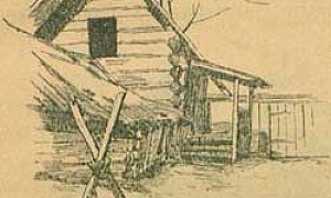 Старый воробей - Мамин-Сибиряк Д.Н., картинка