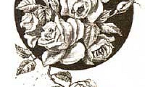 Пора спать (Сказка Мамина-Сибиряка), картинка