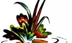 Рыбий дом Рыбий дом (Сказка Бианки В.В.), картинка