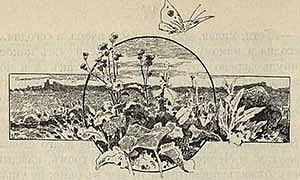 Зелёная война - Мамин-Сибиряк Д.Н., картинка