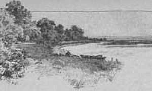 Отпрыск райского растения (Сказка Андерсена), картинка