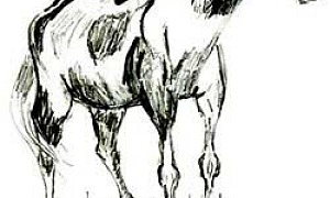 Мерин Мерин (Сказка Толстого А.Н.), картинка