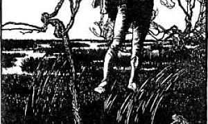 Три языка - Гримм, картинка