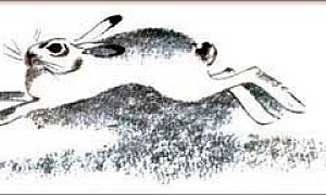 Зайцы (Сказка Толстого Л.Н.), картинка