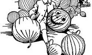 Чудесная страна Оз (Сказка Л.Ф. Баума), картинка