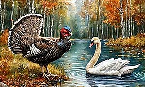 Белые перышки - Русская сказка