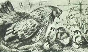 Наседка и цыплята - басня Льва Толстого