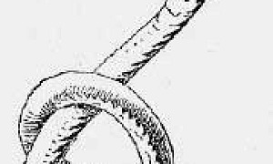 Три змеиных листочка - Гримм, картинка