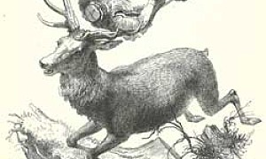 Стеклянный гроб - Гримм, картинка