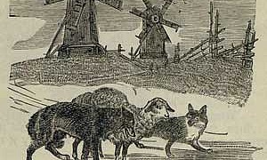 Овца, лиса и волк - Толстой А.Н., картинка