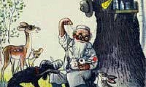 Айболит лечит зверей