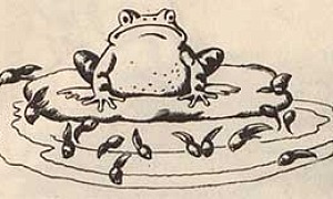 Головастики Головастики - Чуковский