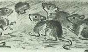 Мышь под амбаром - басня Льва Толстого