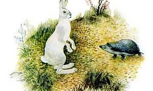 Не ладно скроен, да крепко сшит - Ушинский К.Д.